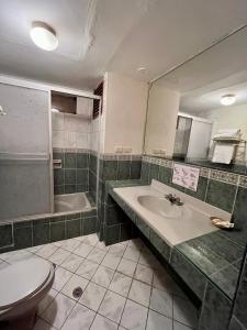 库斯科Hotel Vilandre的一间带水槽、卫生间和镜子的浴室