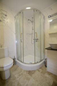 依尔福克兰布鲁克酒店的带淋浴、卫生间和盥洗盆的浴室