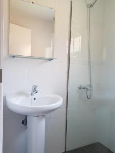 巴尔韦尔德Vv CASA JULIA的白色的浴室设有水槽和淋浴。