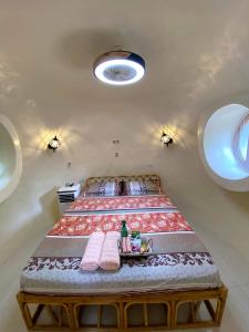 公主港Adorable Dome House的一间卧室,卧室内配有一张大床