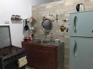开罗Studio Farida Pyramids View的厨房配有水槽和冰箱
