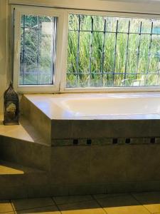 Coronel SuárezLos trinos的窗户客房内的大浴缸