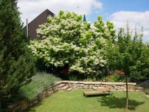 蒂宾根Ferienwohnung Timm的花园,花园内有长凳和一棵白花树