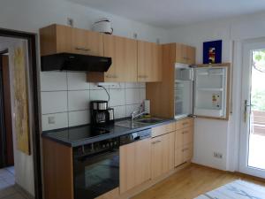 蒂宾根Ferienwohnung Timm的厨房配有木制橱柜、水槽和冰箱。