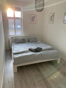 布拉迪斯拉发Lovely 2-bedroom apartment in centre of Bratislava的一间带床的卧室,位于带窗户的房间内