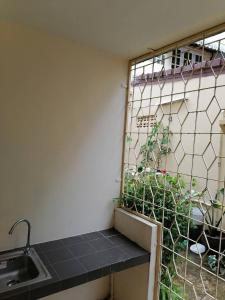 卡图Orm Thong Hotel - SHA Plus的窗户旁的一个带水槽和植物的厨房