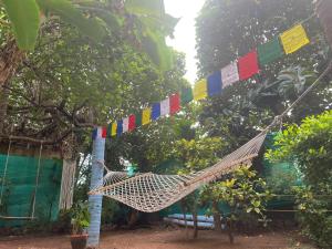 瓦尔卡拉The Lost Hostel, Varkala - Helipad的悬挂在树上的吊床,挂着旗帜