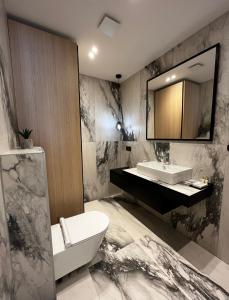 拉宾Canova Apartment的一间带水槽、卫生间和镜子的浴室