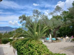 特尔尼Villa San Valentino的游泳池前的棕榈树