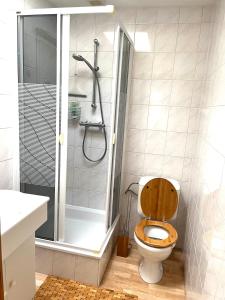 布兰肯贝赫Chez’ Elle的一间带卫生间和淋浴的浴室