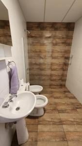 罗卡将军市Depto roca的浴室设有2个卫生间和水槽