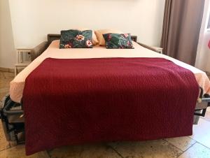 阿维尼翁le Travertin的一张带红色毯子和枕头的床