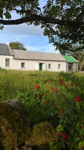 RashennySecluded Thatched Cottage, near beaches & hill walking的白色的建筑,有绿门和红色的花