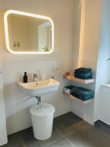IrxlebenStudio-Apartment Hohe Börde的一间带水槽、卫生间和镜子的浴室