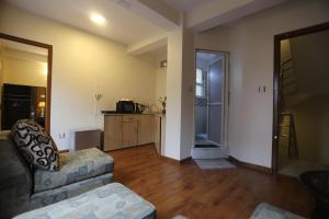 帕坦NhuChhe Apartments的带沙发的客厅和厨房