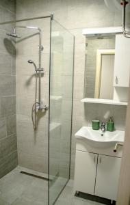 维尔蒂尼克Central park的带淋浴和盥洗盆的浴室