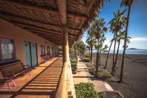 洛雷托绿洲酒店的海滩上的一座建筑,长椅和棕榈树