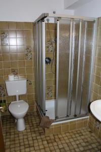Ober-KainsbachGasthaus Zum Hohenstein的浴室配有卫生间、淋浴和盥洗盆。