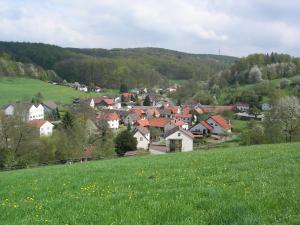 Ober-KainsbachGasthaus Zum Hohenstein的山丘上的城镇,有绿地