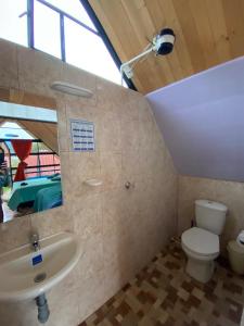 苏埃斯卡Hospedaje Villa Rosita Suesca的一间带水槽、卫生间和镜子的浴室