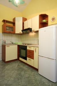 洛维什特Apartments by the sea Loviste, Peljesac - 10255的厨房配有白色冰箱和木制橱柜。