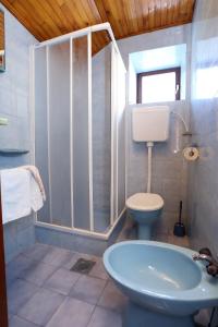 维甘Apartments by the sea Viganj, Peljesac - 10140的带淋浴、卫生间和盥洗盆的浴室