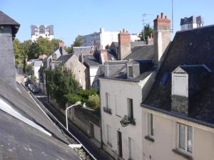 图尔Studio calme au coeur de Tours的享有带房屋和屋顶的城市美景