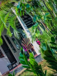 锡吉里亚Sigiri Corridor Home Stay的一座拥有大量绿色植物的建筑