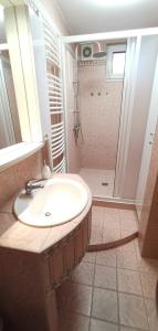 RačaMarilyn príjemný 3 izbový byt v Rači的一间带水槽和淋浴的浴室