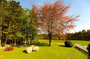 桑内斯Naturnær leilighet med 2 soverom的草上有一棵树和长凳的公园