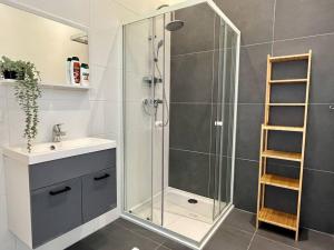 鹿特丹Trendy 2 Bedroom Serviced Apartment的带淋浴和盥洗盆的浴室