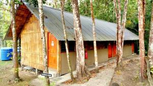 Pelaman Sodoh婆罗洲部族村（BTV）山林小屋的树林中的一个小屋