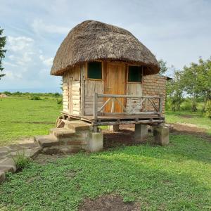 KatunguruSongbird Safari Lodge & Campsite的茅草屋顶的小小屋