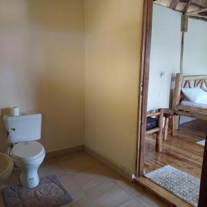 KatunguruSongbird Safari Lodge & Campsite的一间带卫生间和一张双层床的浴室