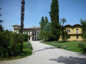 ToglianoVolpe Pasini - Wine and Rooms的棕榈树和车道的庄园