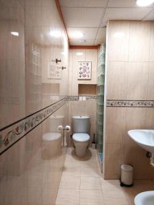 瓦伦西亚Mercat Silence的一间带卫生间和水槽的浴室