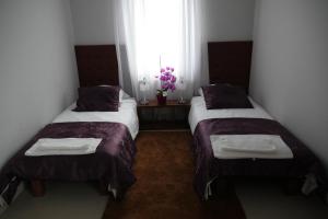 比亚韦斯托克Belweder的带窗户的客房内设有两张单人床。