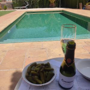 格拉纳达Villa 28 de julio Casa Rural con piscina en Granada的一瓶葡萄酒和一碗薯条