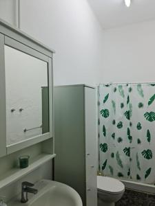 因赫尼奥Aguatona的一间带卫生间和淋浴帘的浴室