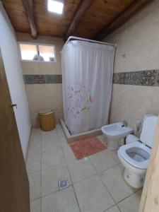 卢汉德库约Vistalbahouse的一间带卫生间和淋浴帘的浴室