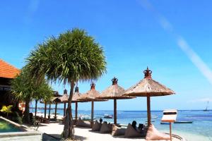 蓝梦岛Pemedal Beach Resort的一群太阳伞在海边的海滩上