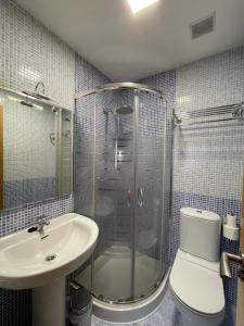 布尔戈斯圣地亚哥2号旅馆的带淋浴、卫生间和盥洗盆的浴室