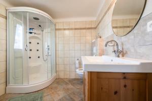 多尼杜纳约维采Vila Witke的一间带水槽和淋浴的浴室