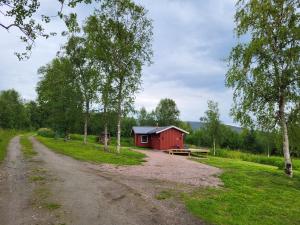 BrygghaugenOff-the-grid cabin on the island of Senja in northern Norway的泥路旁的红色谷仓,设有野餐桌