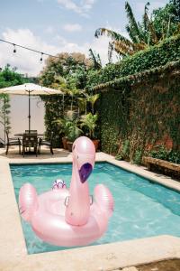 危地马拉安地瓜Casi Casa的游泳池里的粉色天鹅
