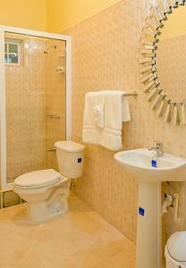 白豪斯Champagne Villa的一间带卫生间、水槽和镜子的浴室