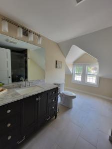 South KortrightThe Hidden Inn的一间带水槽、卫生间和镜子的浴室