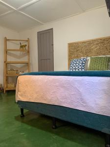 圣胡安拉拉古纳Chirris Hostel的绿色地板的客房内的一张大床