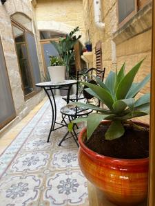 阿尔卜Birbuba House 2的天井配有桌椅和盆栽植物