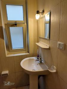 亚历山大凯旋旅馆 的一间带水槽和镜子的浴室以及窗户。